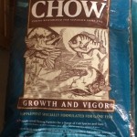game fish chow