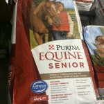 equine senior horse feed