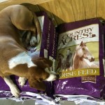 country acres 12% pellets